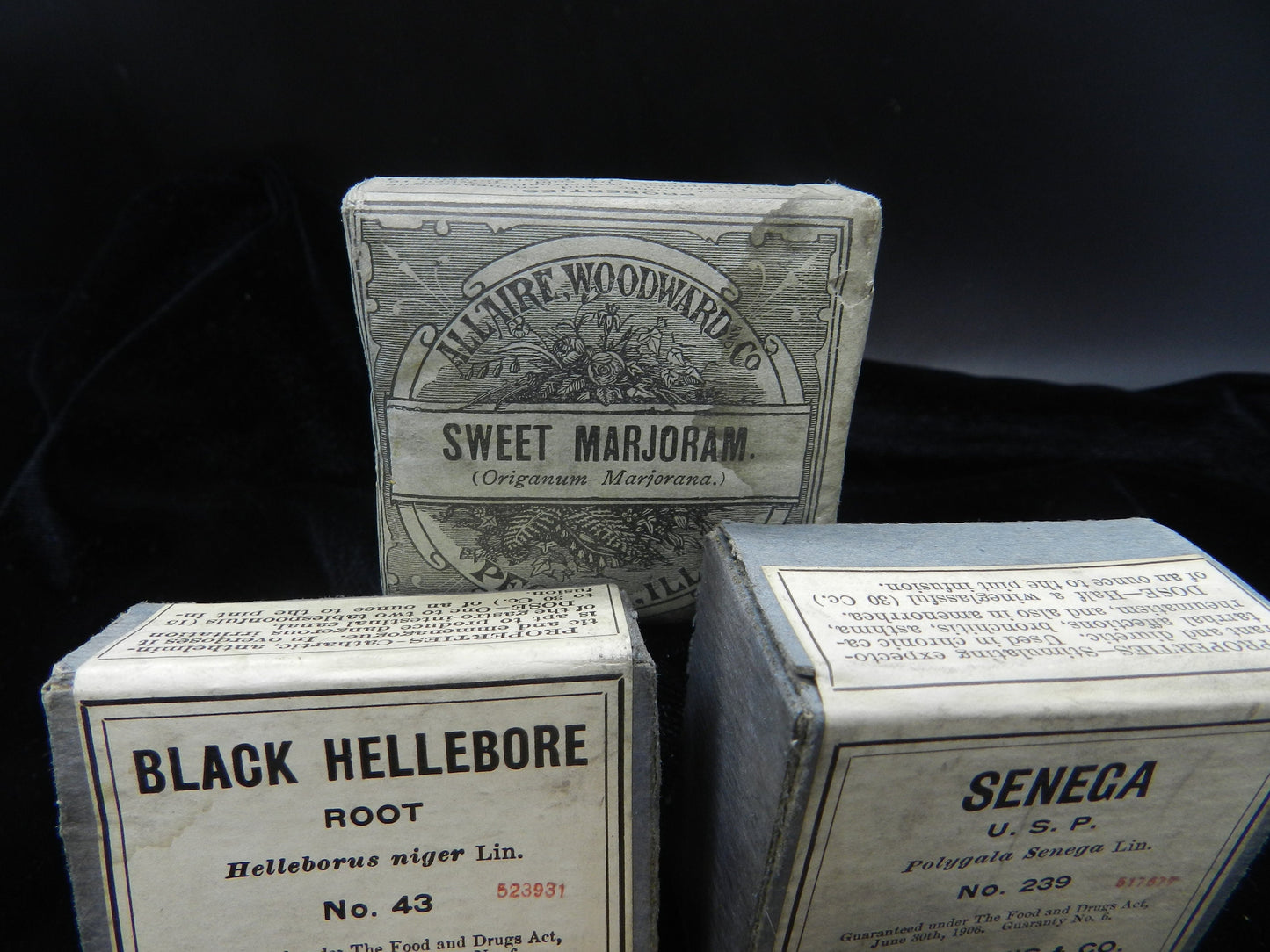 Antique Herbal Treatment Boxes - Unopened -Parke, Davis & Co. - Allaire Woodward Co. - Hellebore, Seneca, Marjoram