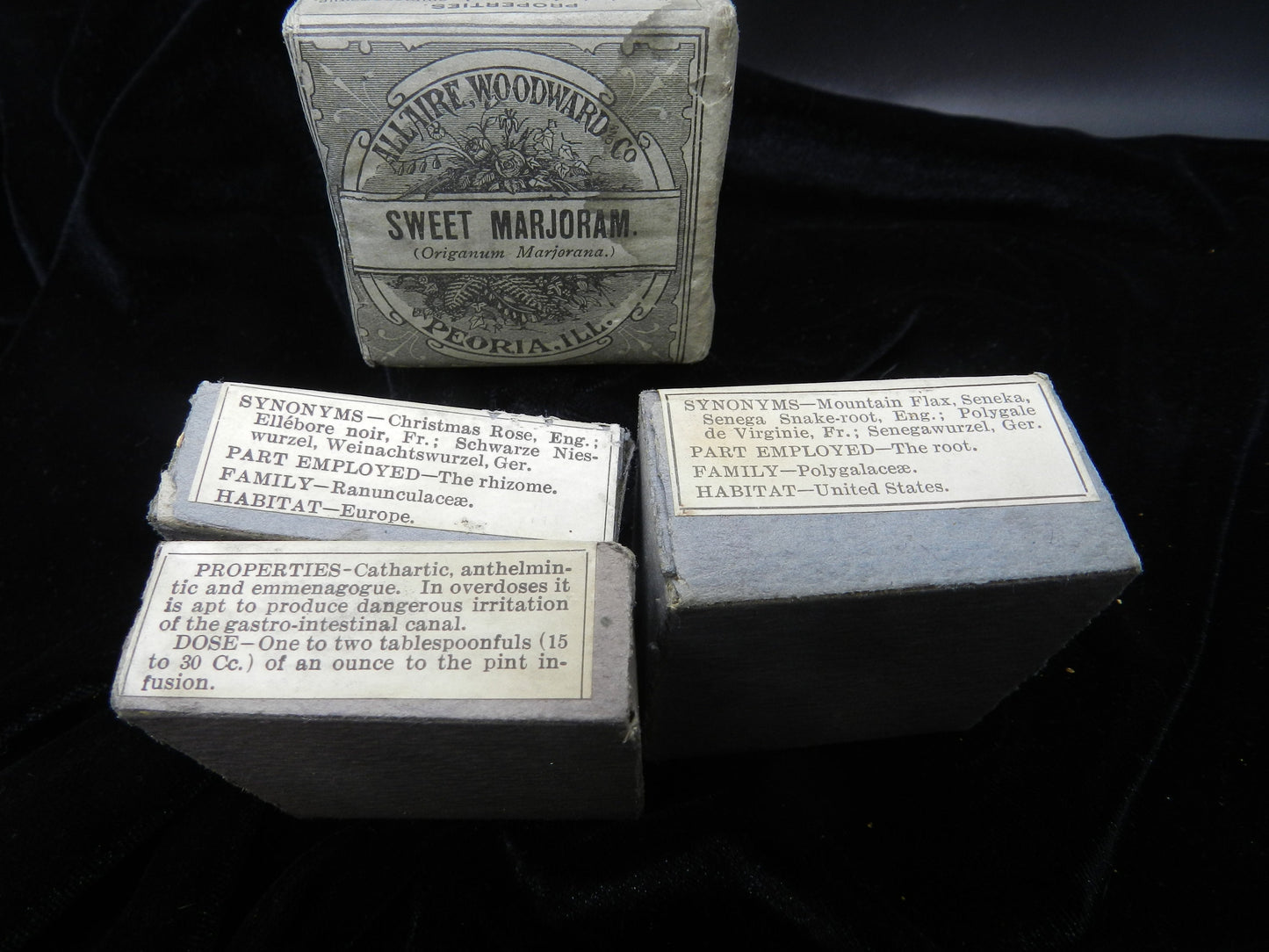 Antique Herbal Treatment Boxes - Unopened -Parke, Davis & Co. - Allaire Woodward Co. - Hellebore, Seneca, Marjoram