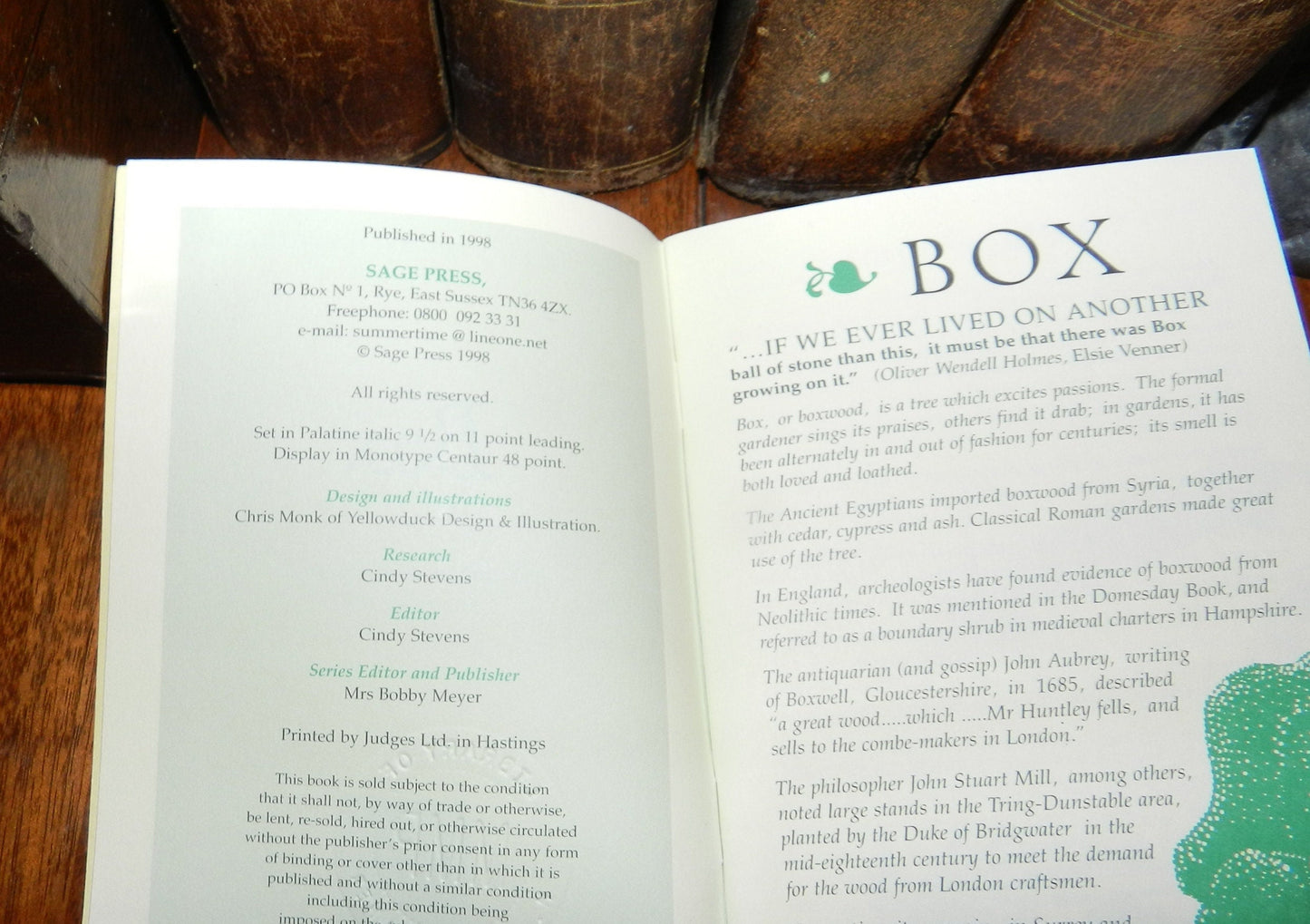 Vintage Book "Box" by Braimbridge & Meyer - 1998 First Edition First Printing Pamphlet