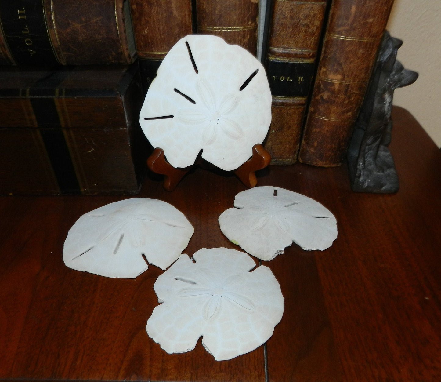 4 Large Vintage Sand Dollars, Sand Cakes, Sea Urchins