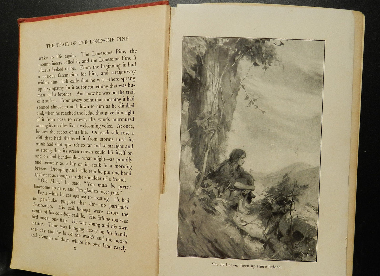 Antique American Classic "Trail of the Lonesome Pine" by Fox,  1st Edition,  Red and Gilt 1908