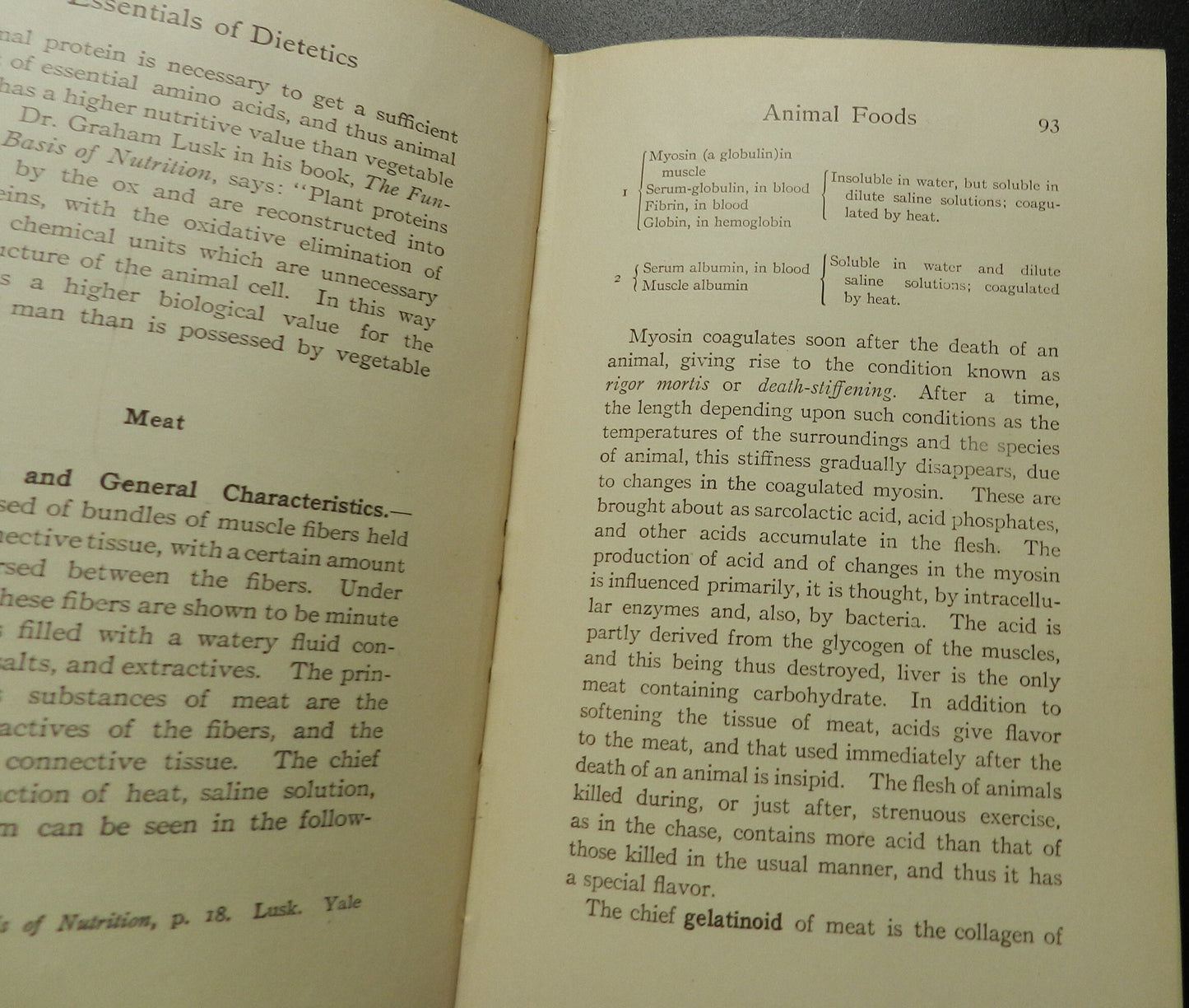 Antique Book "Essentials of Dietetics In Health and Disease A Text-Book for Nurses and A Practical Dietary Guide for the Household" by Pope