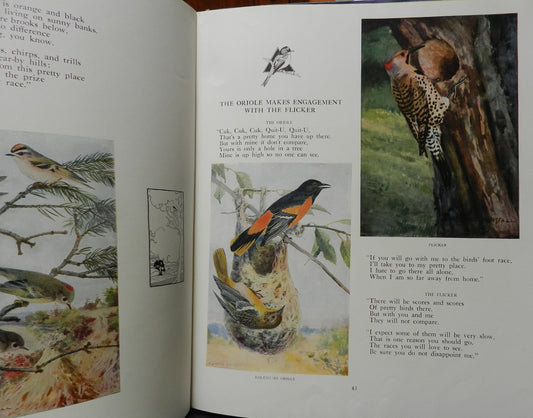 Antique Illustrated "The Bird Foot Race in Follies" by Samis, Robert Self Published  First Edition, 2nd printing 1924