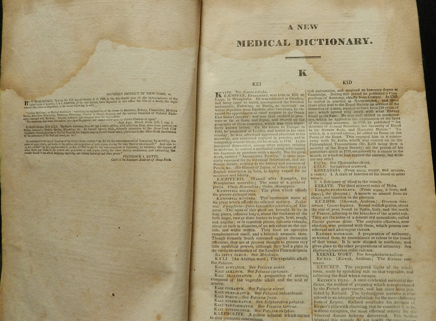 Antique Medical Dictionary " Lexicon Medicum or Medical Dictionary" By Hooper - 1831 - Medical Dictionary - 2 of 2